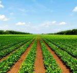 Abia approves CONHESS salary structure for LG health workers