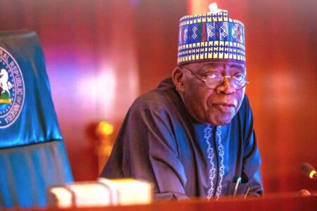 New tax law empowers Nigeria Revenue Service to secure loans