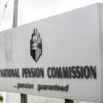 Tinubu orders temporary ban on raw shea nut exports