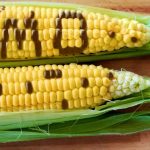 Nigeria, Columbia enters new dawn for ties – Shettima