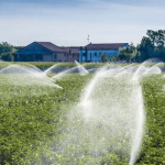 Google’s Gemini overtakes ChatGPT as top Apple Store app