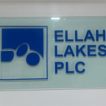 Second LNG-powered containership berths at Lagos port