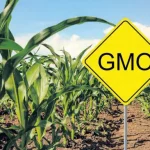 EU orders Snapchat, YouTube to explain child safety measures