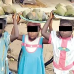 GDP growth in Africa not equall to decent lives — Osinbajo