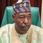 Borno gov raises CJTF, vigilantes’ monthly allowance to ₦50,000