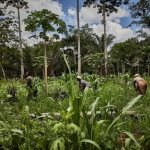 Trump raises global tariff to 15% after court ruling