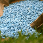 SEC cautions fintechs on rising risks in digital finance