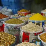 MANEG raises alarm over CBN policy favouring oil firms