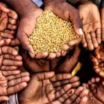 FG approves increased allowances, exit benefits for civil servants