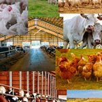 Nigeria spends $6bn yearly on imported clothing — FG