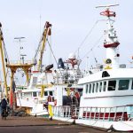 NITOA trawlers grounded as diesel prices soar, fish scarcity hits markets